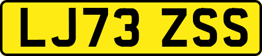 LJ73ZSS