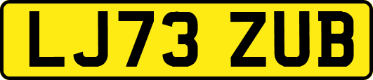 LJ73ZUB