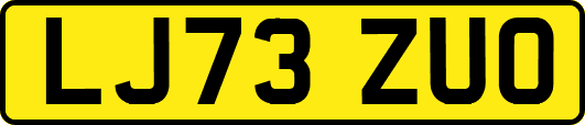 LJ73ZUO