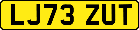LJ73ZUT