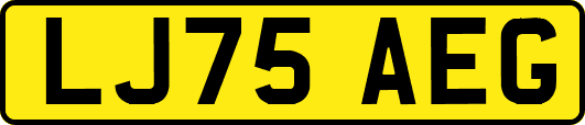 LJ75AEG