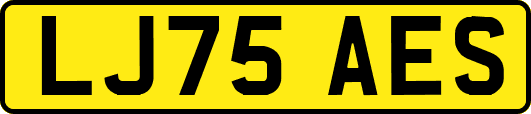 LJ75AES