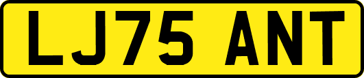 LJ75ANT