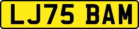 LJ75BAM