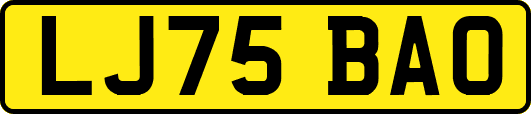 LJ75BAO