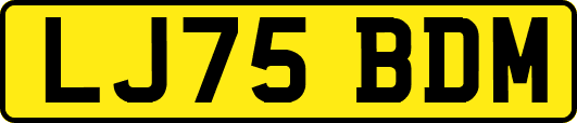 LJ75BDM