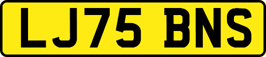 LJ75BNS