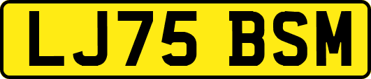 LJ75BSM