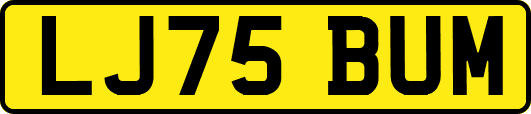 LJ75BUM
