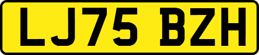 LJ75BZH