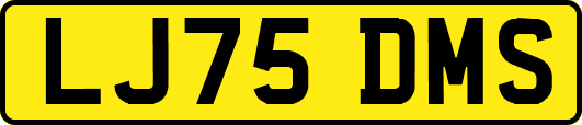 LJ75DMS