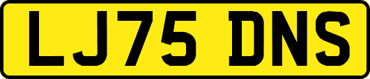 LJ75DNS