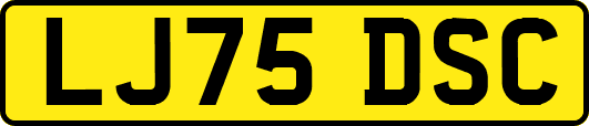 LJ75DSC