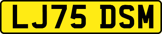 LJ75DSM
