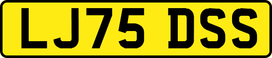 LJ75DSS