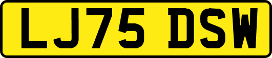LJ75DSW