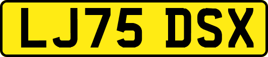 LJ75DSX