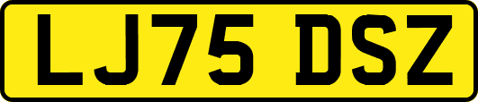 LJ75DSZ
