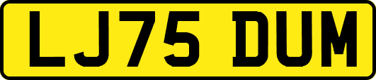 LJ75DUM