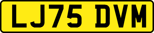 LJ75DVM