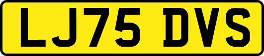 LJ75DVS