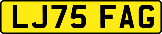 LJ75FAG