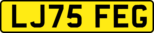 LJ75FEG