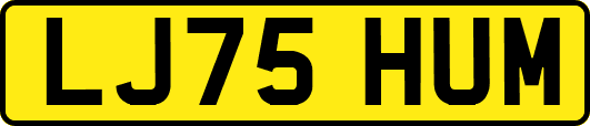 LJ75HUM