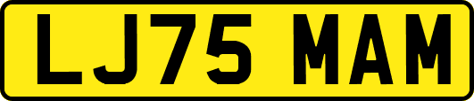 LJ75MAM