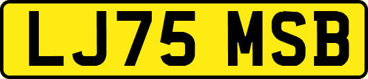 LJ75MSB