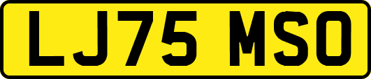 LJ75MSO