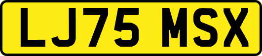 LJ75MSX