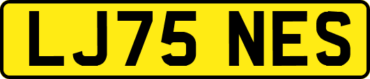 LJ75NES