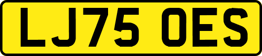 LJ75OES