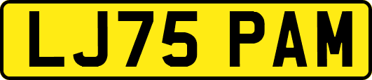 LJ75PAM