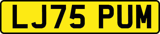 LJ75PUM