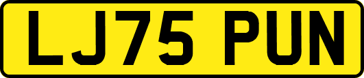 LJ75PUN