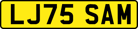 LJ75SAM