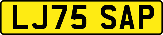LJ75SAP