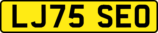 LJ75SEO