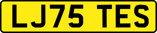 LJ75TES