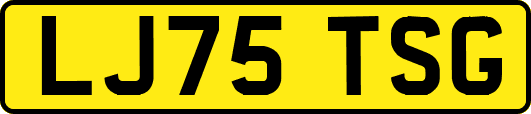 LJ75TSG