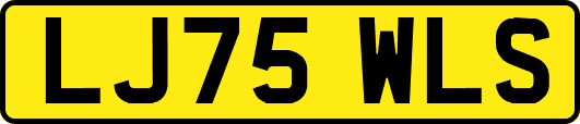 LJ75WLS