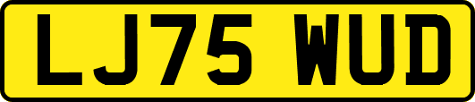 LJ75WUD