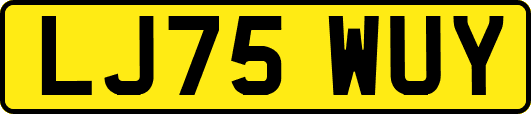 LJ75WUY
