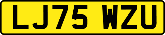 LJ75WZU
