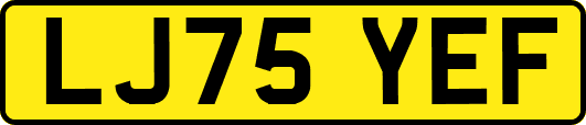 LJ75YEF