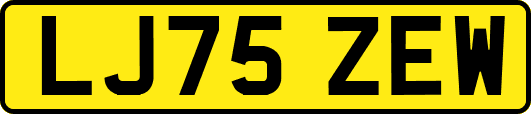 LJ75ZEW