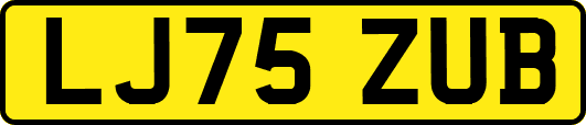 LJ75ZUB