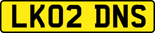 LK02DNS